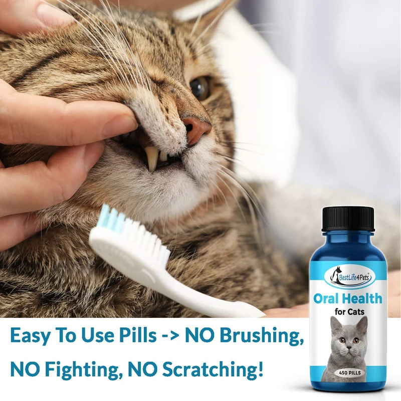 Oral Health for Cats Dental Treatment - Natural Stomatitis and Gingivitis Solution is Highly Effective for Feline Mouth Issues Including Tartar and Inflammed Gums - Easy to Use (450 pills)