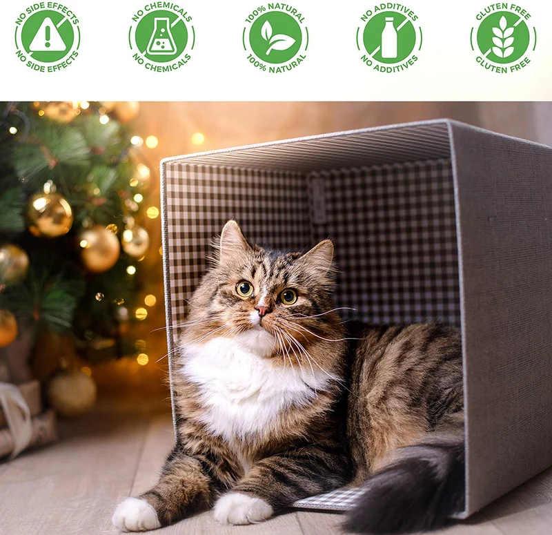Oral Health for Cats Dental Treatment - Natural Stomatitis and Gingivitis Solution is Highly Effective for Feline Mouth Issues Including Tartar and Inflammed Gums - Easy to Use (450 pills)