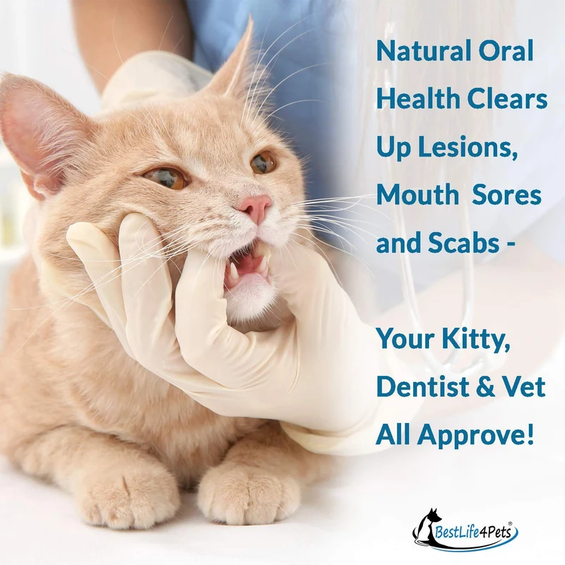 Oral Health for Cats Dental Treatment - Natural Stomatitis and Gingivitis Solution is Highly Effective for Feline Mouth Issues Including Tartar and Inflammed Gums - Easy to Use (450 pills)