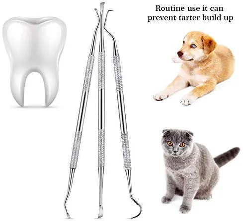 Raspador de dientes dentales para perros y gatos