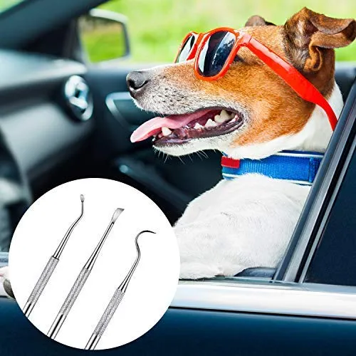 Raspador de dientes dentales para perros y gatos