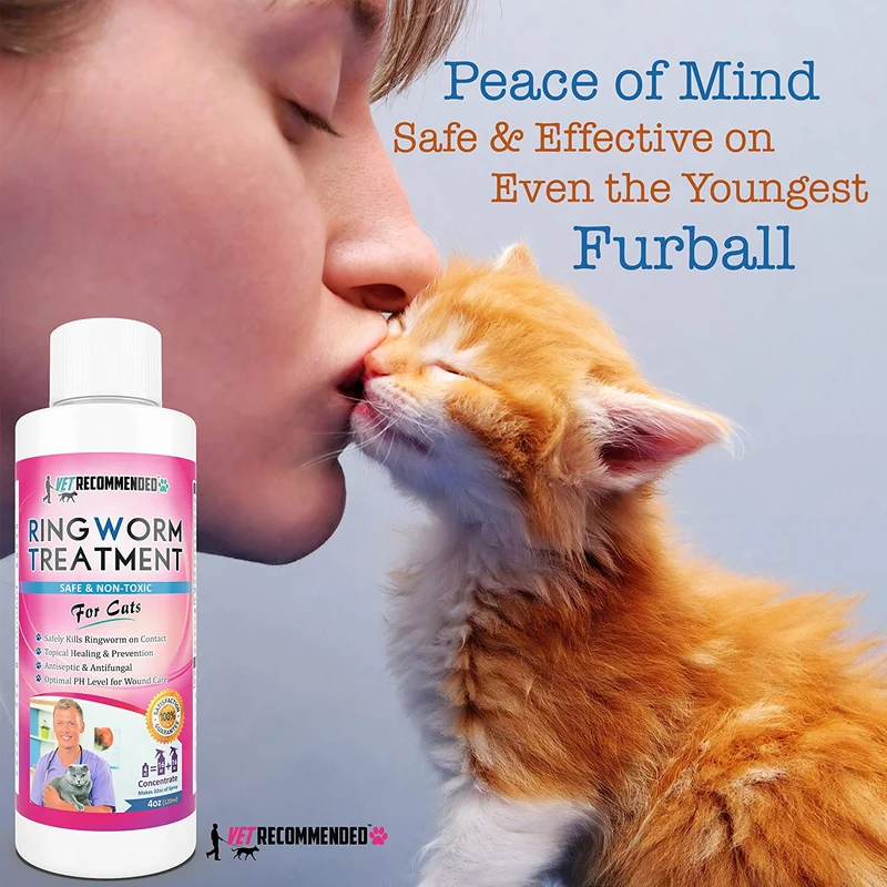 Vet recomendado – tiña Tratamiento para gatos – Concentrado hace Dos – Martillo Botellas de Antifúngico Spray de forma segura Mata a Virus, Enfermedad causar bacterias, esporas y hongos – fabricado en EE. UU. (4oz/120 ml)