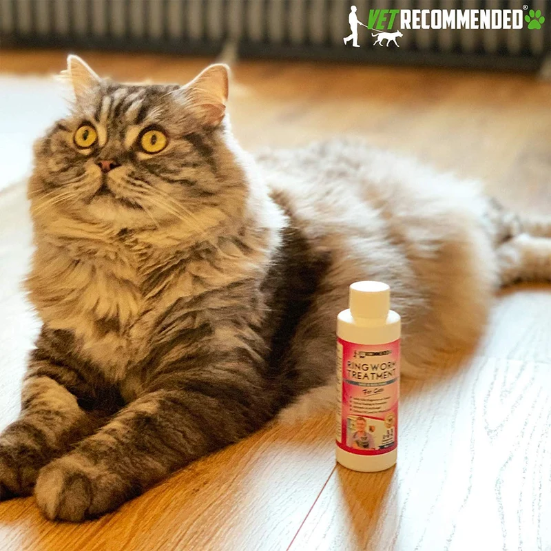 Vet recomendado – tiña Tratamiento para gatos – Concentrado hace Dos – Martillo Botellas de Antifúngico Spray de forma segura Mata a Virus, Enfermedad causar bacterias, esporas y hongos – fabricado en EE. UU. (4oz/120 ml)