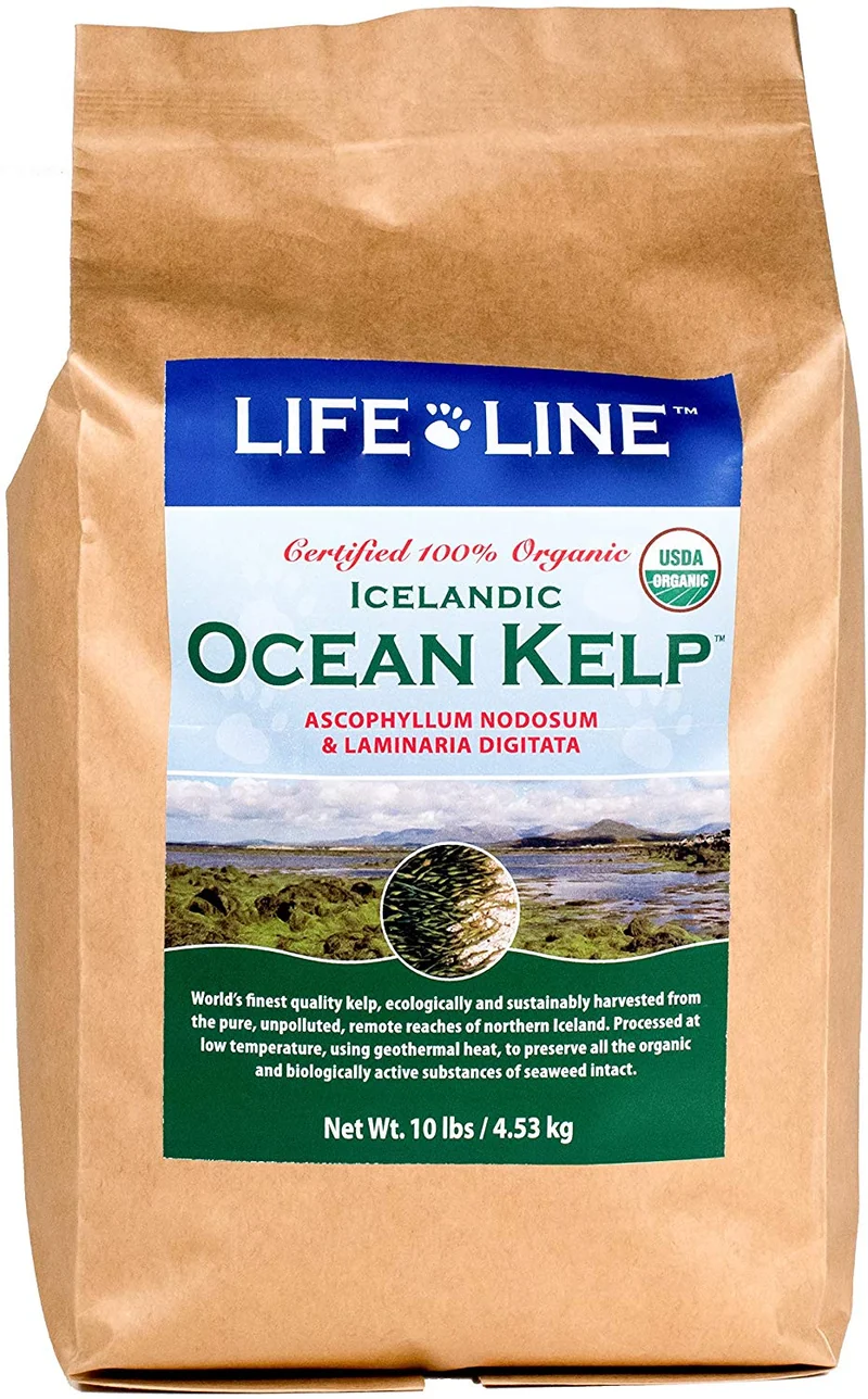Life Line Pet Nutrition Organic Ocean Kelp Supplement for Skin & Coat, Digestion, Teeth & Gums in Dogs & Cats, 8-Ounce