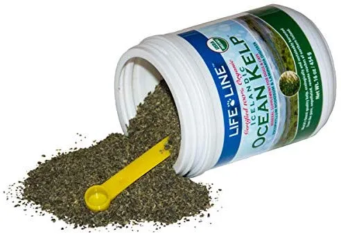 Life Line Pet Nutrition Organic Ocean Kelp Supplement for Skin & Coat, Digestion, Teeth & Gums in Dogs & Cats, 8-Ounce