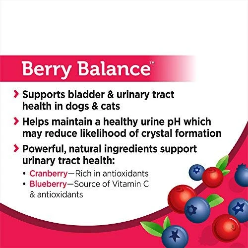 Solid Gold Berry Balance Supplement Powder for Urinary Tract Health with Cranberries & Blueberries for Dogs & Cats