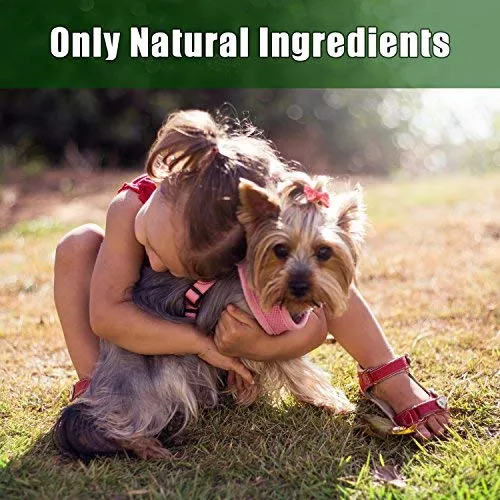 Toallitas para orejas de mascotas Arava, para perros, gatos, cachorros y gatitos, 100 unidades, desodorizante de limpieza medicada natural, elimina la suciedad de la cera, levadura y ácaros irritaciones, evita olores picantes, toallitas suaves para perros