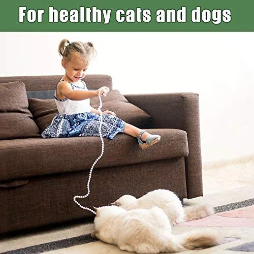 Toallitas para orejas de mascotas Arava, para perros, gatos, cachorros y gatitos, 100 unidades, desodorizante de limpieza medicada natural, elimina la suciedad de la cera, levadura y ácaros irritaciones, evita olores picantes, toallitas suaves para perros