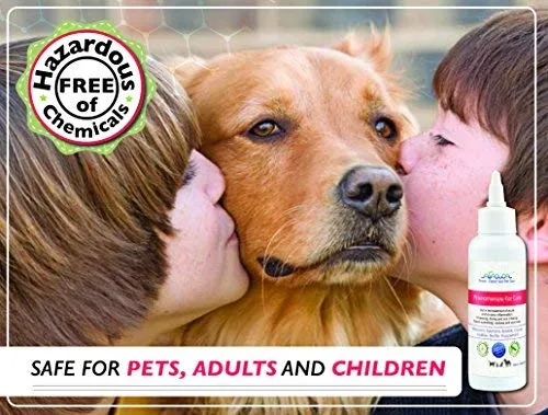 Toallitas para orejas de mascotas Arava, para perros, gatos, cachorros y gatitos, 100 unidades, desodorizante de limpieza medicada natural, elimina la suciedad de la cera, levadura y ácaros irritaciones, evita olores picantes, toallitas suaves para perros