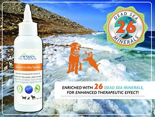 Toallitas para orejas de mascotas Arava, para perros, gatos, cachorros y gatitos, 100 unidades, desodorizante de limpieza medicada natural, elimina la suciedad de la cera, levadura y ácaros irritaciones, evita olores picantes, toallitas suaves para perros
