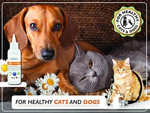 Toallitas para orejas de mascotas Arava, para perros, gatos, cachorros y gatitos, 100 unidades, desodorizante de limpieza medicada natural, elimina la suciedad de la cera, levadura y ácaros irritaciones, evita olores picantes, toallitas suaves para perros