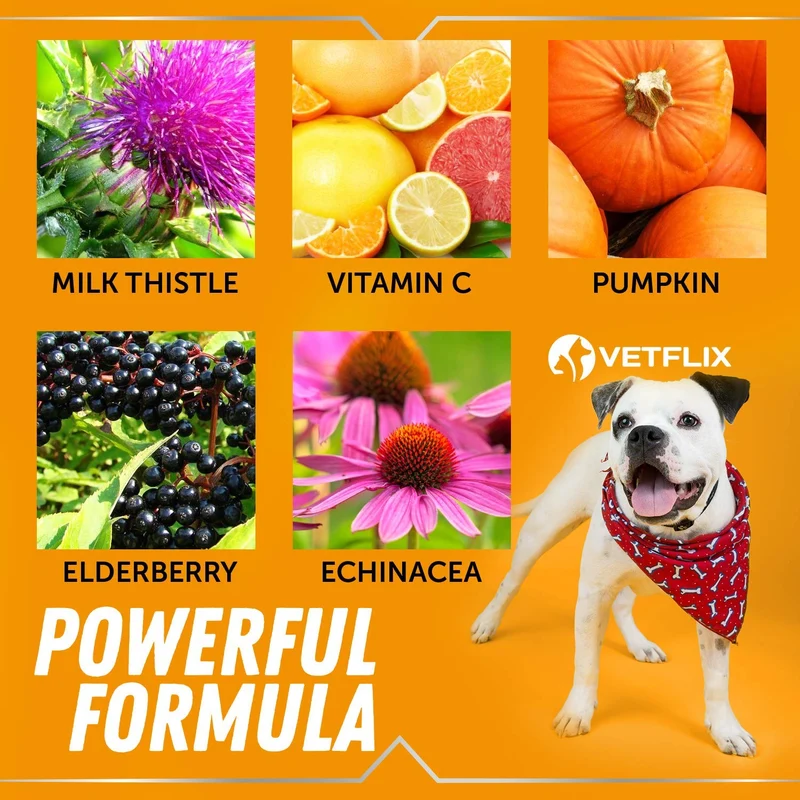 Alergia de mascotas y apoyo inmunológico – Fabricado en Estados Unidos – Alivio de alergias para gatos y perros – 100% natural – Cardo de leche y cúrcuma – El mejor tratamiento para el sistema inmunológico para perros y gatos – Vitamina C para mascotas –
