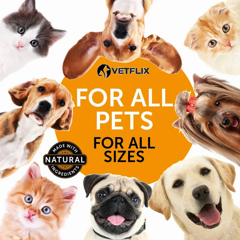 Alergia de mascotas y apoyo inmunológico – Fabricado en Estados Unidos – Alivio de alergias para gatos y perros – 100% natural – Cardo de leche y cúrcuma – El mejor tratamiento para el sistema inmunológico para perros y gatos – Vitamina C para mascotas –