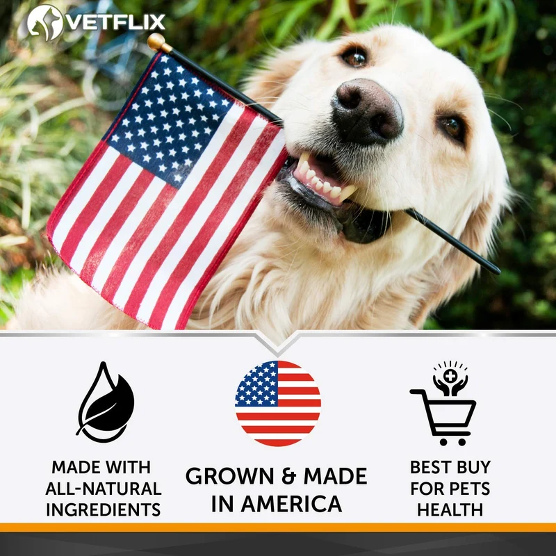 Alergia de mascotas y apoyo inmunológico – Fabricado en Estados Unidos – Alivio de alergias para gatos y perros – 100% natural – Cardo de leche y cúrcuma – El mejor tratamiento para el sistema inmunológico para perros y gatos – Vitamina C para mascotas –