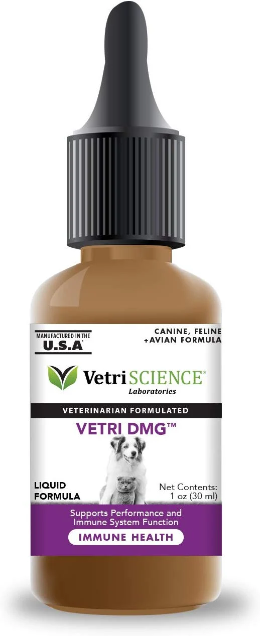 VetriScience Laboratories - Vetri DMG Liquid, Endurance and Immune Support for Cats, Dogs and Birds