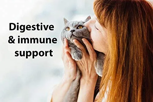 Nexabiotic Probiótico para gatos y perros con tratamiento de diarrea y apoyo de estreñimiento | Sin sabor, 17 mil millones de UPC, 23 probióticos con saccharomyces Boulardii, Lactobacillus Acidophilus, 30 dosis de polvo