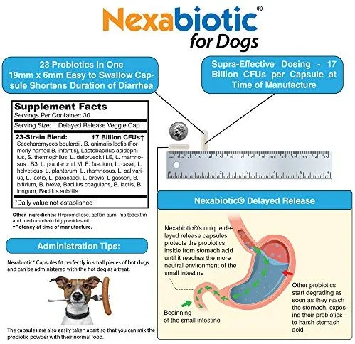 Nexabiotic Probiótico para gatos y perros con tratamiento de diarrea y apoyo de estreñimiento | Sin sabor, 17 mil millones de UPC, 23 probióticos con saccharomyces Boulardii, Lactobacillus Acidophilus, 30 dosis de polvo