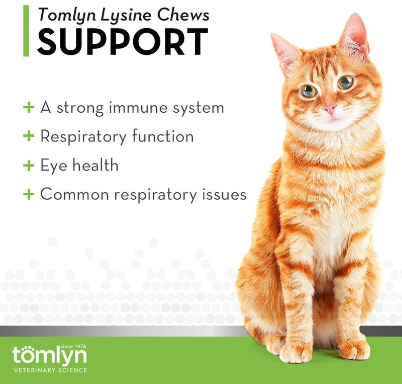 tomyln Apoyo Inmunológico L-Lisina Suplemento Nutricional, Valor no encontrado, Not Applicable