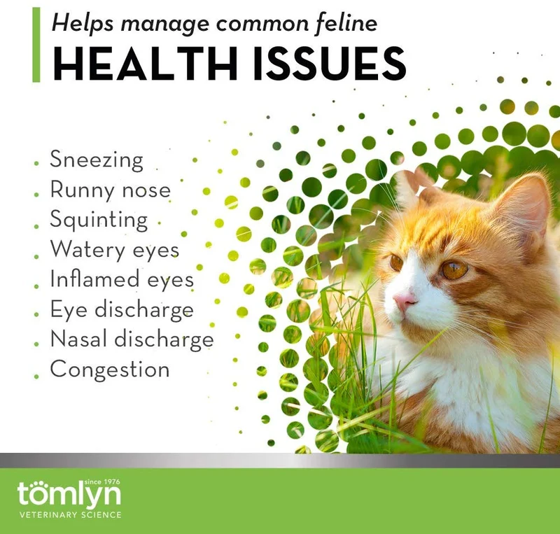 tomyln Apoyo Inmunológico L-Lisina Suplemento Nutricional, Valor no encontrado, Not Applicable