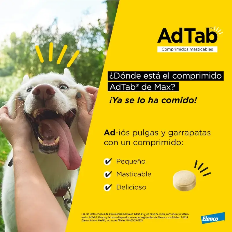 Adtab 900Mg Chewable Tablets Dogs 22-45Kg, 2 Tablets