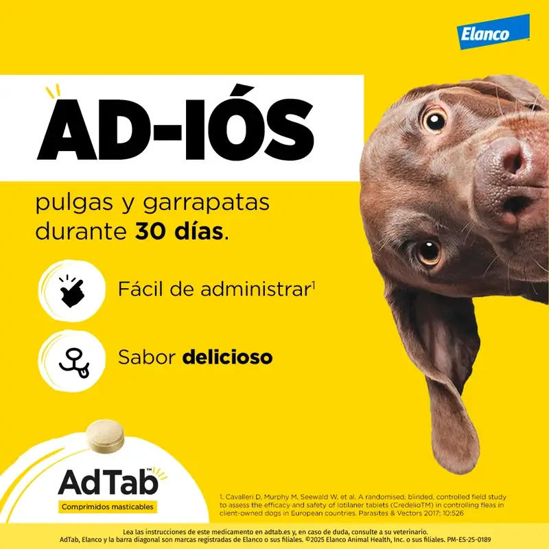 Adtab 900Mg Chewable Tablets Dogs 22-45Kg, 2 Tablets