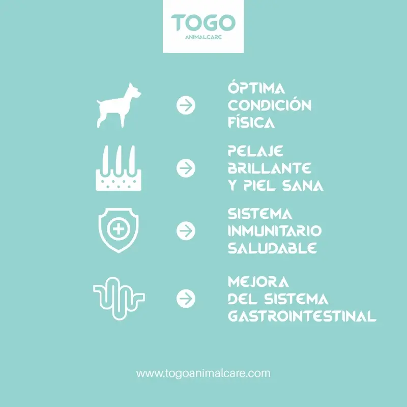 Togo Pork Medallion Snacks, 60 grams