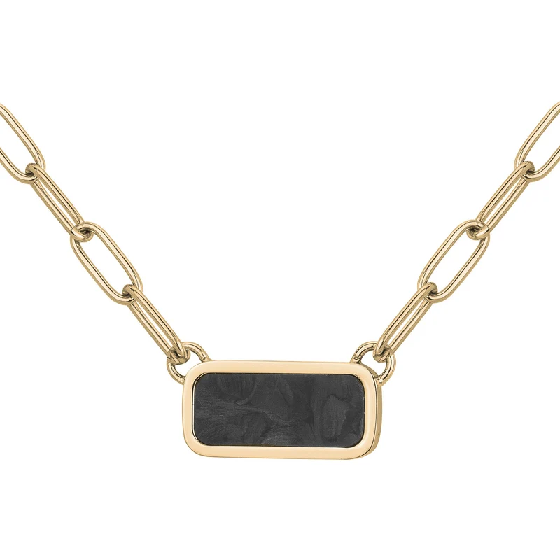 Collier PHEBUS Léandre Homme en Acier | 75-0321