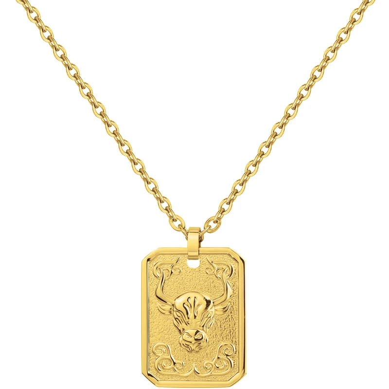 Collier PHEBUS Zodiaque Homme en Acier doré | 75-0240