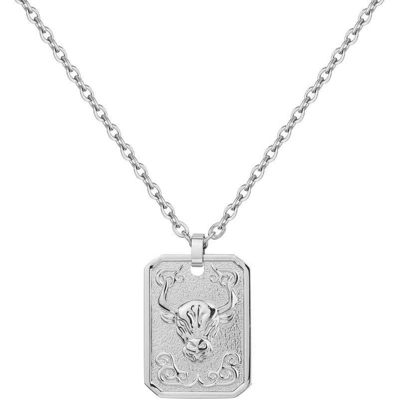 Collier PHEBUS Zodiaque Homme en Acier | 75-0239