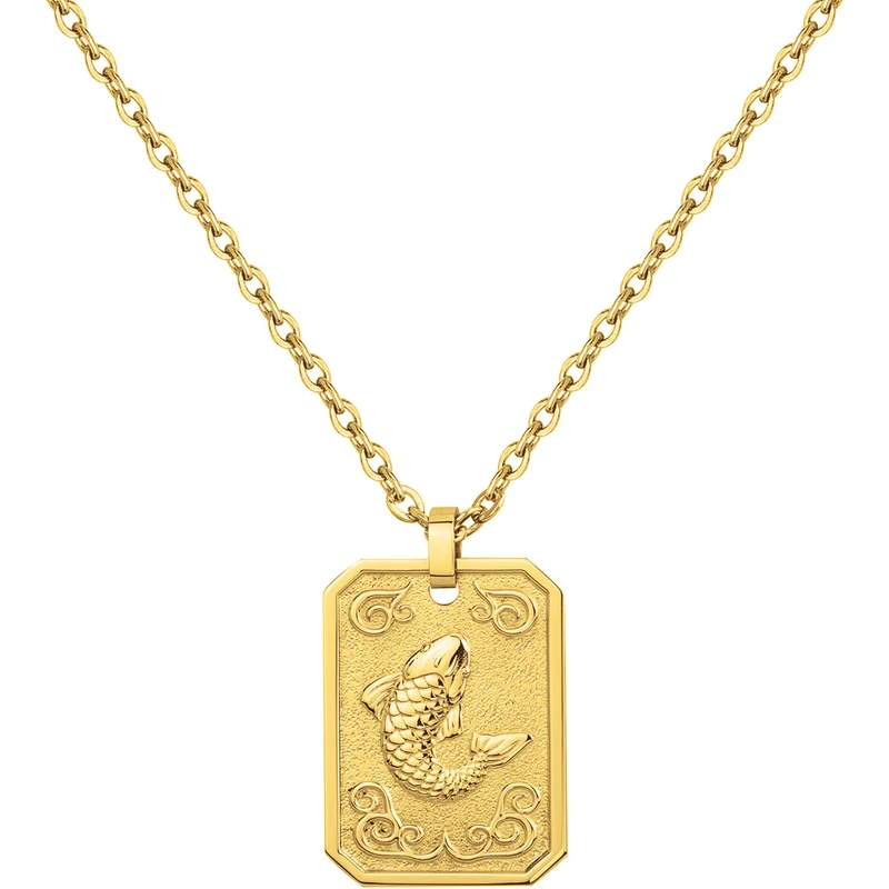 Collier PHEBUS Zodiaque Homme en Acier | 75-0238