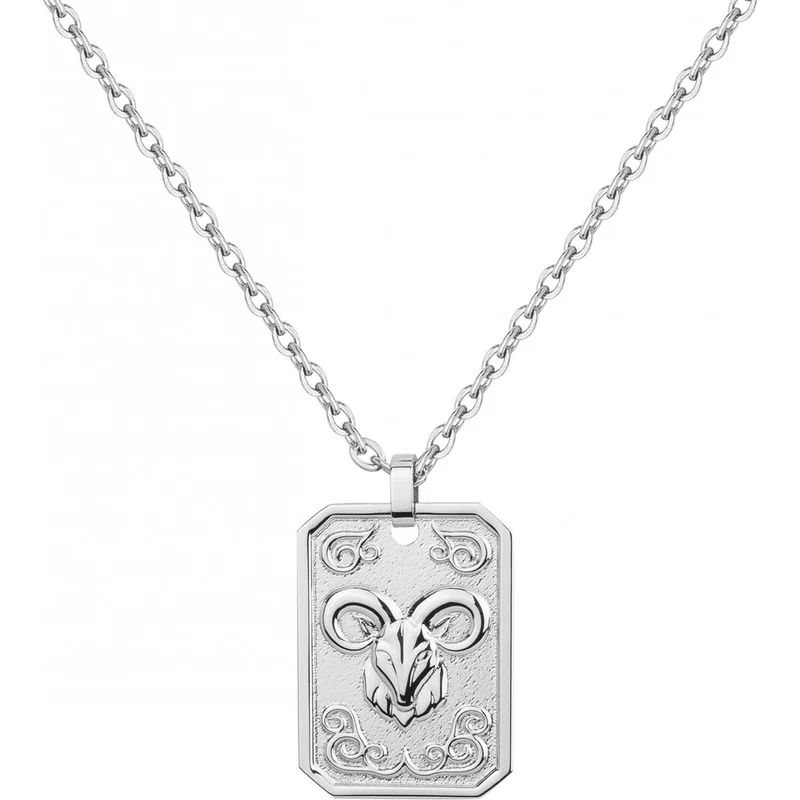 Collier PHEBUS Zodiaque Homme en Acier 316L | 75-0227