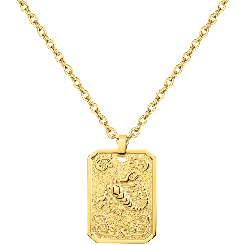 Collier PHEBUS Zodiaque Homme en Acier doré | 75-0220