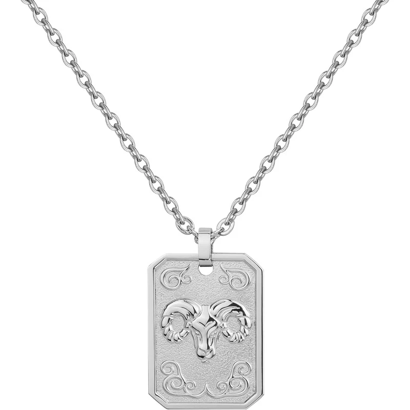 Collier PHEBUS Zodiaque Homme en Acier | 75-0221