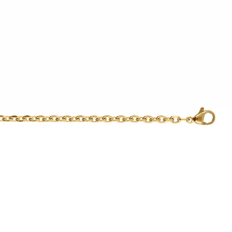 Sautoir maille forçat 60 cm – Acier doré | Azuline