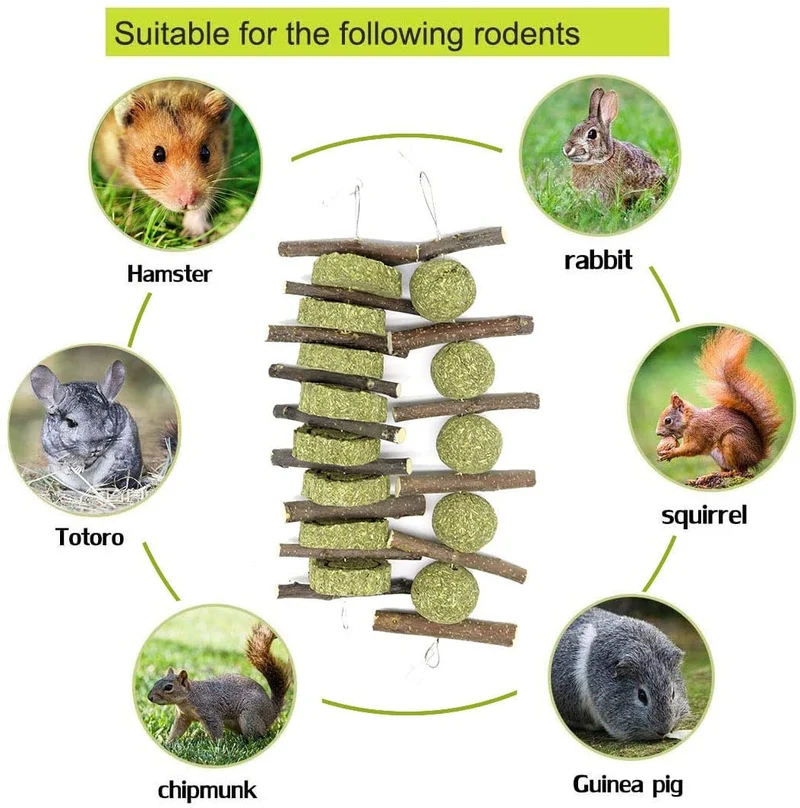 Conejito masticable juguetes para dientes, molar conejo juguetes natural orgánico manzana palitos para conejos, chinchillas, cobayas, hámsters masticar jugar mejorar la salud dental
