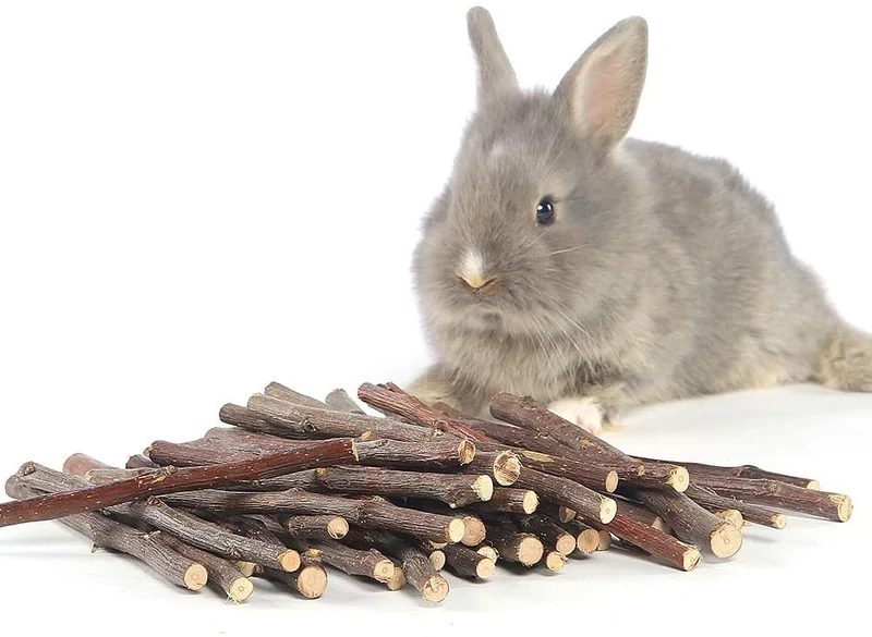 Niteangel - Palos para chinchilla, cobayas, hámsters, conejos, loros y otros animales pequeños