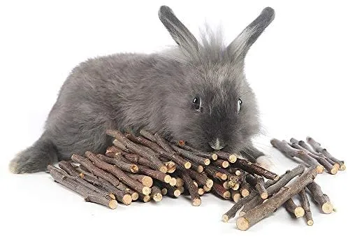 Niteangel - Palos para chinchilla, cobayas, hámsters, conejos, loros y otros animales pequeños