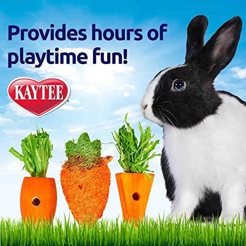 Kaytee 3 unidades de juguete para masticar, variedad de parches de zanahoria