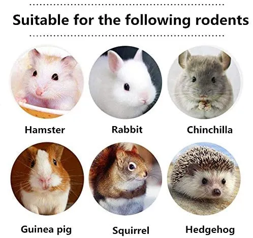 Dbeans Flourithing 3 tipos de juguetes combinados para masticar palos molar dulce de bambú de manzana rama Timothy hierba para mascotas Chinchilla ardilla gerbil hámster ardilla cobayas