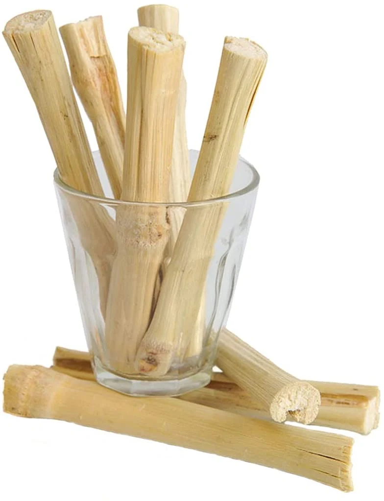 BWOGUE 3.53 oz de aperitivos para mascotas de bambú dulce juguete de masticar para ardilla, conejos, cobayas, hámster de Chinchilla (alrededor de 10 – 14 varillas)