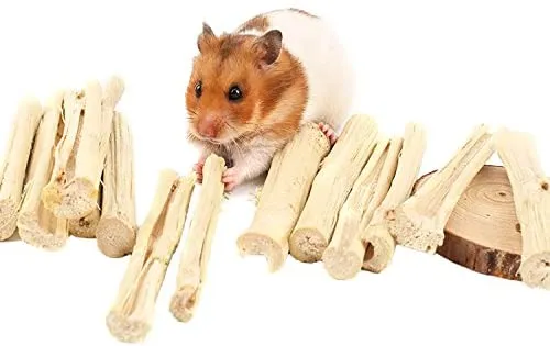 BWOGUE 3.53 oz de aperitivos para mascotas de bambú dulce juguete de masticar para ardilla, conejos, cobayas, hámster de Chinchilla (alrededor de 10 – 14 varillas)
