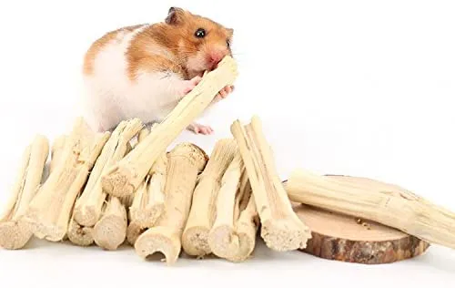 BWOGUE 3.53 oz de aperitivos para mascotas de bambú dulce juguete de masticar para ardilla, conejos, cobayas, hámster de Chinchilla (alrededor de 10 – 14 varillas)