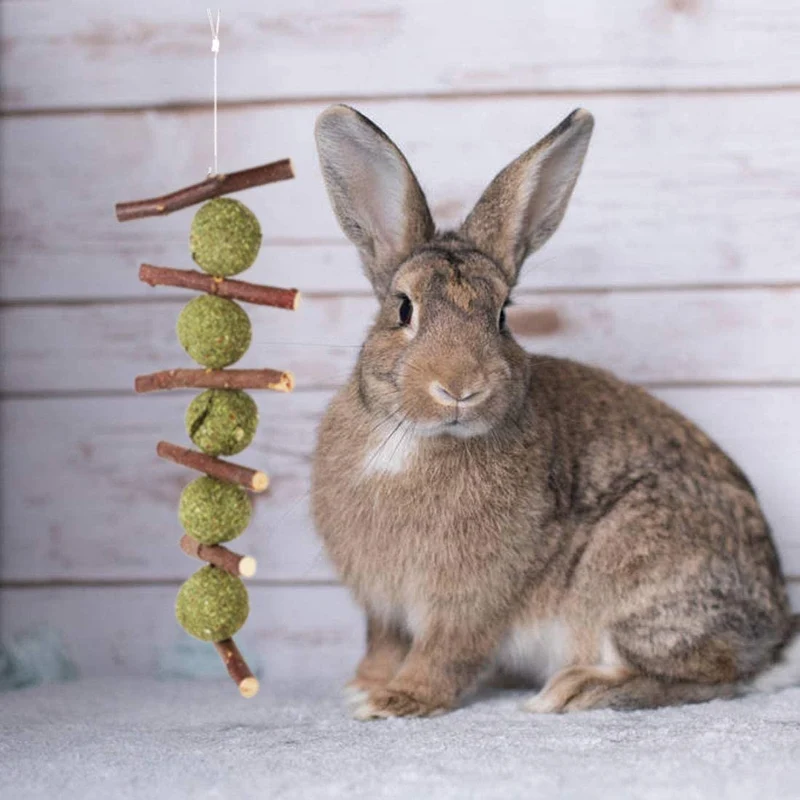 Juguetes para masticar los dientes, palitos de manzana orgánicas naturales para conejos, chinchillas, cobayas, hámsters masticando jugando mejorar la salud dental