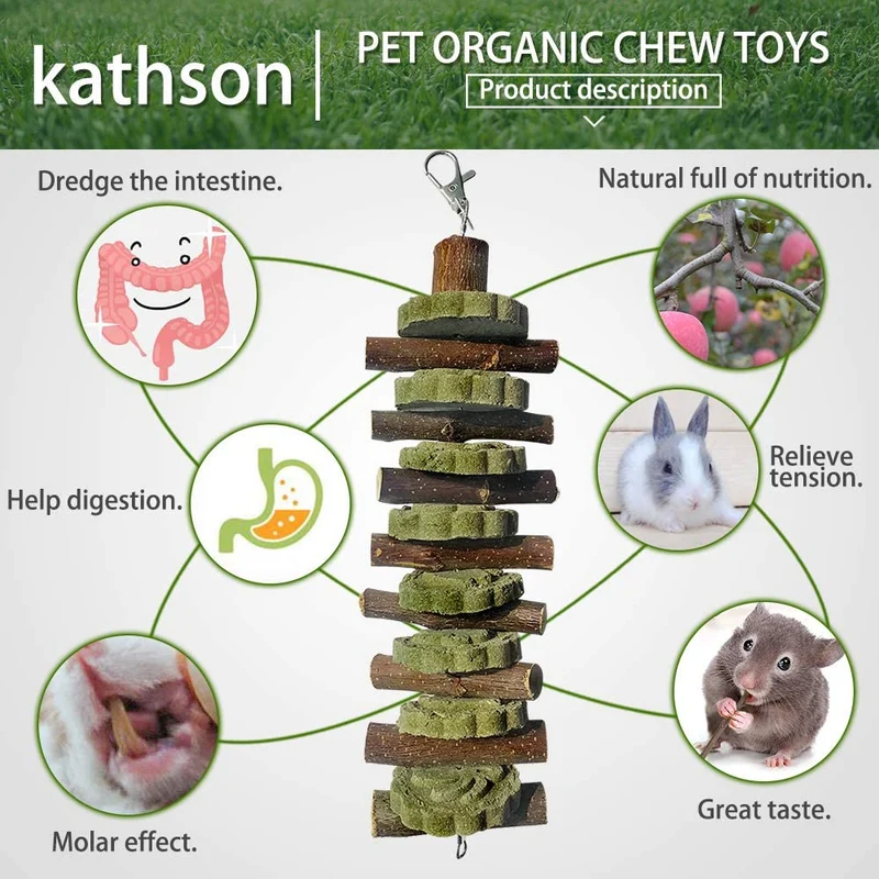 Juguetes para masticar conejos para moler dientes, Chinchilla Treats palos de bambú orgánico ramas de madera de manzana natural para conejos, cobayas, hámsters (2 unidades), Verde