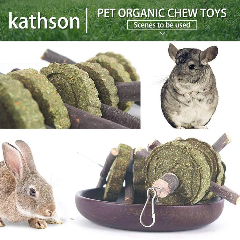 Juguetes para masticar conejos para moler dientes, Chinchilla Treats palos de bambú orgánico ramas de madera de manzana natural para conejos, cobayas, hámsters (2 unidades), Verde