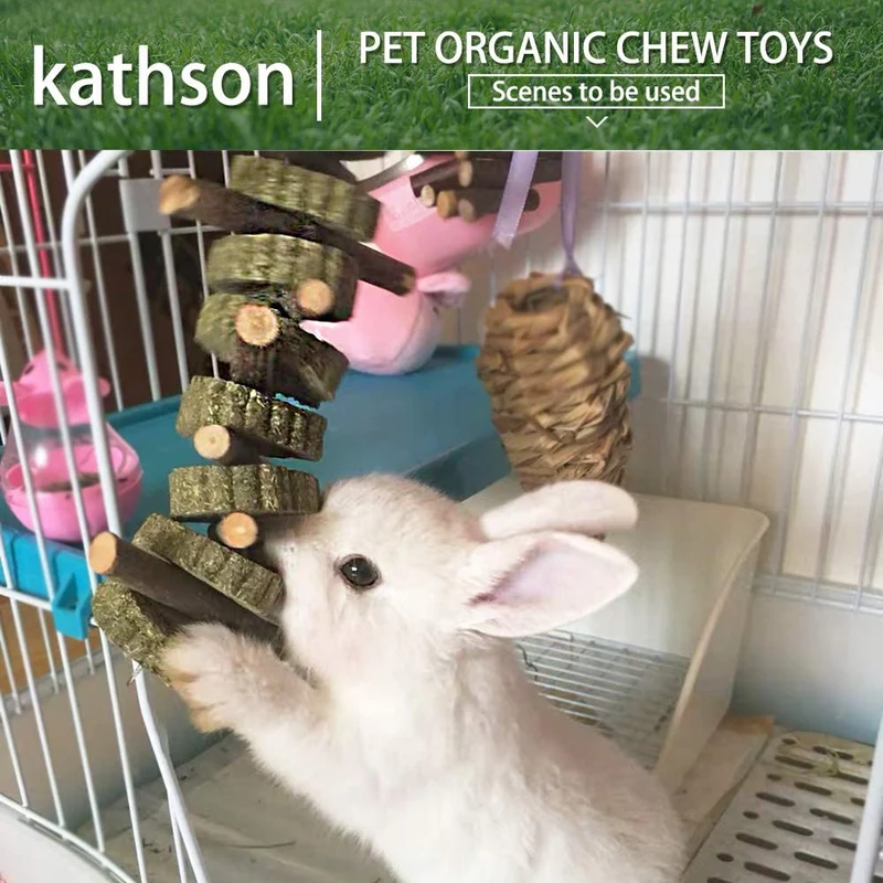 Juguetes para masticar conejos para moler dientes, Chinchilla Treats palos de bambú orgánico ramas de madera de manzana natural para conejos, cobayas, hámsters (2 unidades), Verde