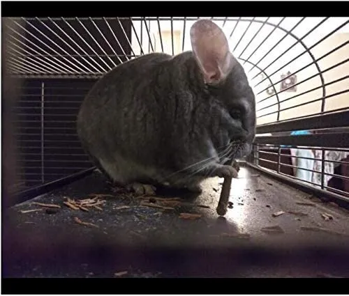 8.82 oz y 17.64 oz Natural Manzana Palitos Pequeños Animales Molar Wood Treats Juguetes Chinchilla Guinea Pig Hámster Conejo Gerbil Loro Conejo Conejo y Animales Pequeños Juguetes Masticables Juguetes