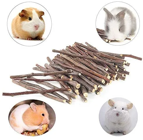 8.82 oz y 17.64 oz Natural Manzana Palitos Pequeños Animales Molar Wood Treats Juguetes Chinchilla Guinea Pig Hámster Conejo Gerbil Loro Conejo Conejo y Animales Pequeños Juguetes Masticables Juguetes