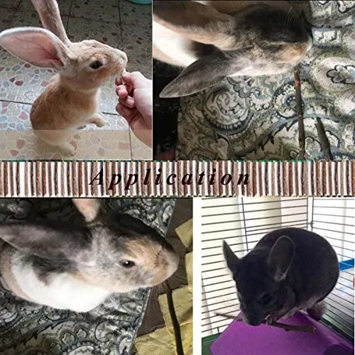 8.82 oz y 17.64 oz Natural Manzana Palitos Pequeños Animales Molar Wood Treats Juguetes Chinchilla Guinea Pig Hámster Conejo Gerbil Loro Conejo Conejo y Animales Pequeños Juguetes Masticables Juguetes
