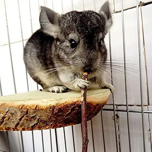 Sharllen palitos de manzana para masticar mascotas, conejos, chinchilla y cobayas